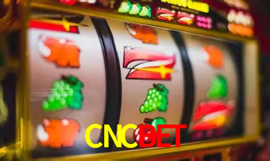 Apostas Esportivas na CNCBET: Um Guia Completo