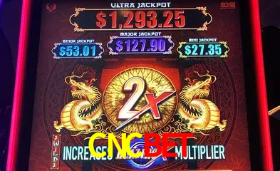 Cassino ao vivo com dealers reais na CNCBET