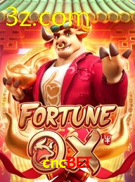 CNCBET.COM